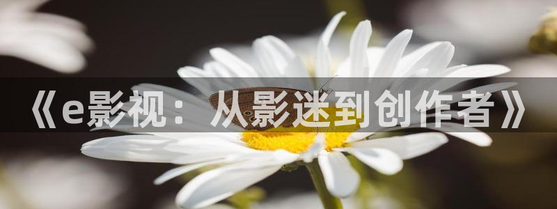 鉴证实录2国语免费观看西瓜影院：《e影视：从影迷到创作者》