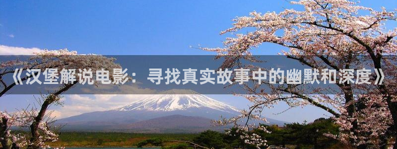 天醒之路电视剧免费观看西瓜影院：《汉堡解说电影：寻找真实故事中的幽默和深度》