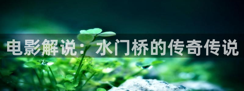 免费观看西瓜