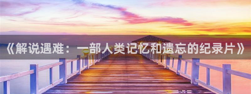 西瓜影院tl：《解说遇难：一部人类记忆和遗忘的纪录片》
