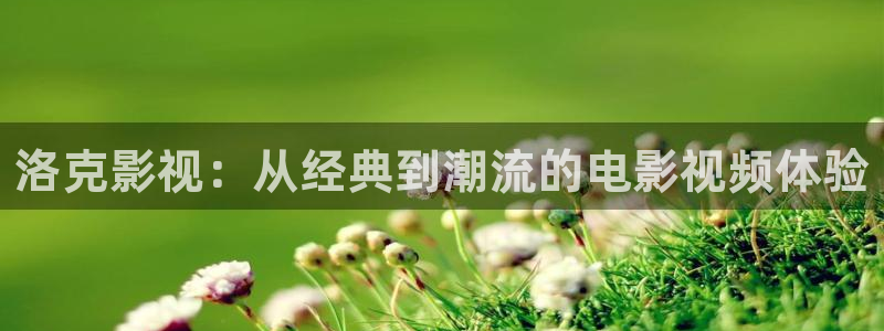 他是谁在线高清免费观看西瓜：洛克影视：从经典到潮流的电影视频体验