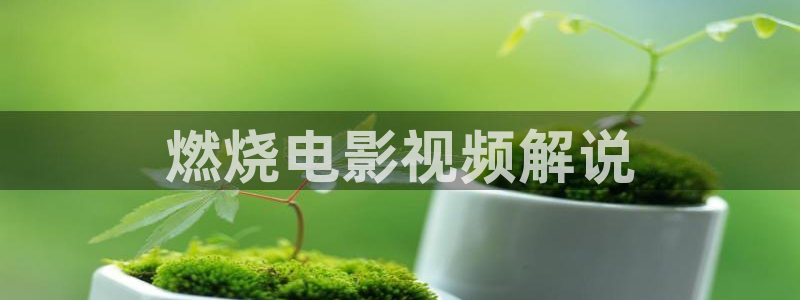 北京青年电视剧免费观看西瓜：燃烧电影视频解说