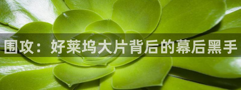 方西瓜：围攻：好莱坞大片背后的幕后黑手
