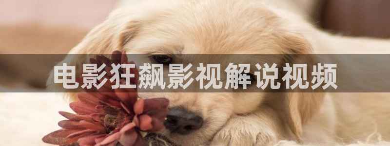 西瓜在线电影观看
