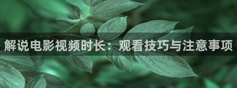 披荆斩棘第二季免费观看西瓜：解说电影视频时长：观看技巧与注意事项