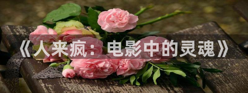 西瓜伦理片：《人来疯：电影中的灵魂》