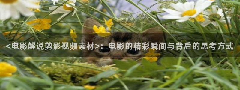 双面胶电视剧西瓜免费观看：<电影解说剪影视频素材>：电影的精彩瞬间与背后的思考方式