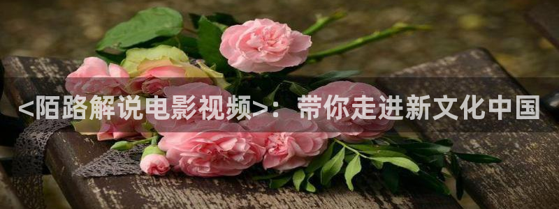 月光变奏曲免费观看西瓜影院