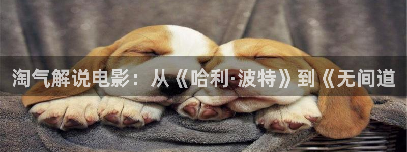 士兵突击在线观看免费西瓜：淘气解说电影：从《哈利·波特》到《无间道