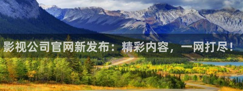 天天有喜电视剧免费观看西瓜影院：影视公司官网新发布：精彩内容，一网打尽！
