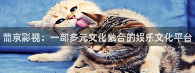 沉香重华免费西瓜影院：葡京影视：一部多元文化融合的娱乐文化平台