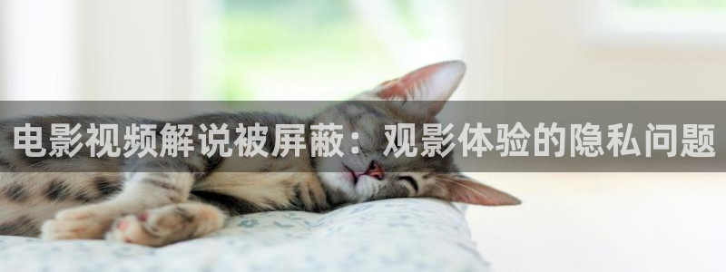 西瓜网免费观看电视剧：电影视频解说被屏蔽：观影体验的隐私问题