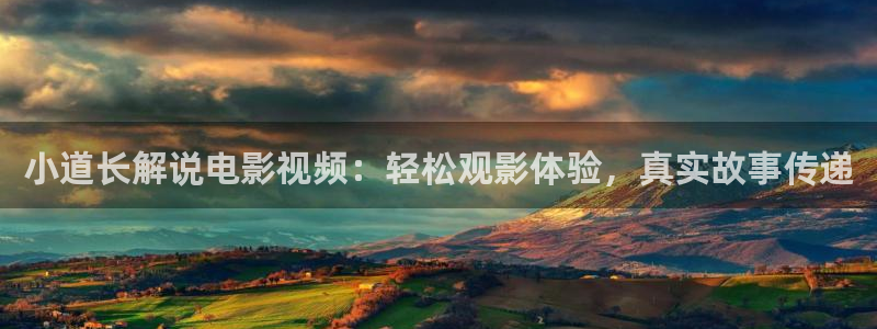 空即是色西瓜影院：小道长解说电影视频：轻松观影体验，真实故事传递