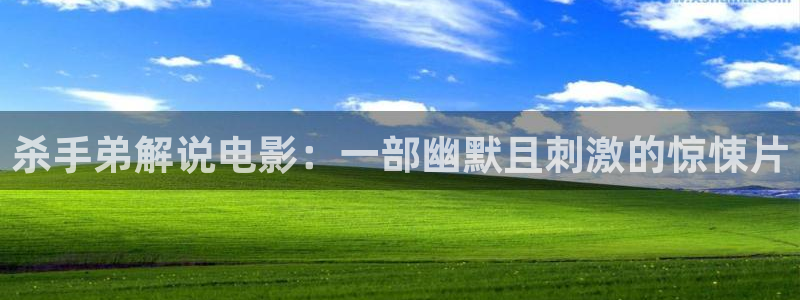 完美的他电视剧免费观看西瓜：杀手弟解说电影：一部幽默且刺激的惊悚片