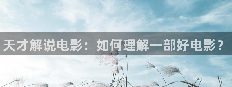 西瓜图片大全：天才解说电影：如何理解一部好电影？