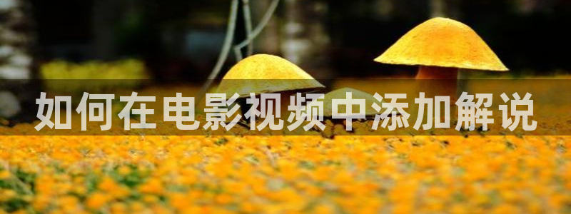 西瓜视频在线观看免费：如何在电影视频中添加解说