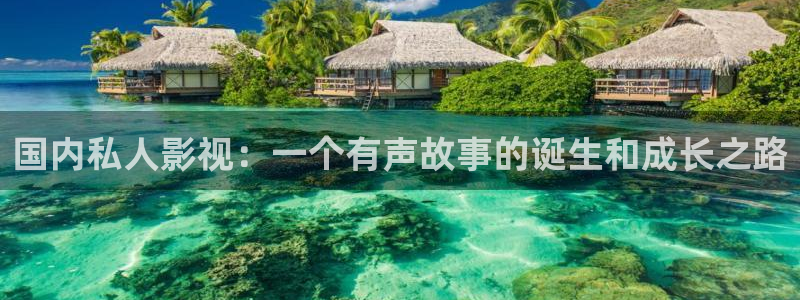 江苏连云港西瓜：国内私人影视：一个有声故事的诞生和成长之路