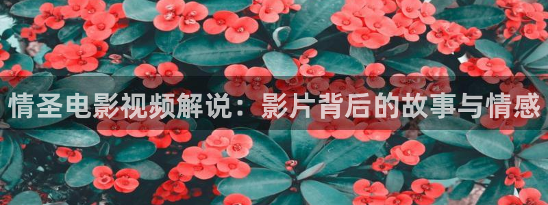 天狼西瓜影院：情圣电影视频解说：影片背后的故事与情感